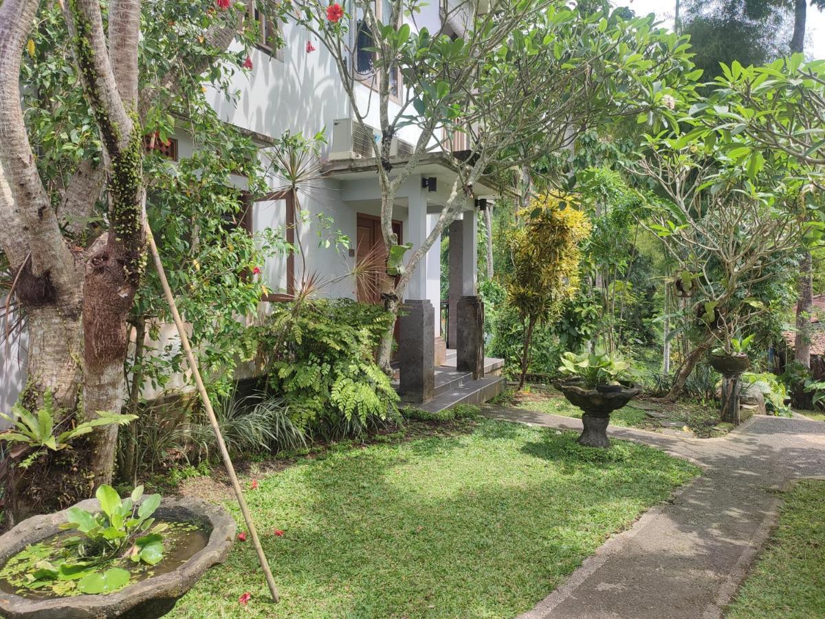 Nyoman Homestay Ubud Exteriér fotografie