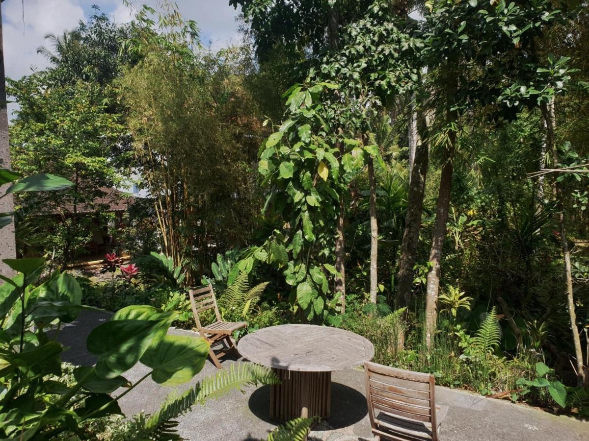 Nyoman Homestay Ubud Exteriér fotografie